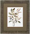 34  Preserved Leaves Art