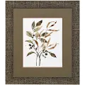 34 Preserved Leaves Art
