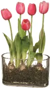 13 Inch Red Tulips in Glass Vase