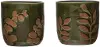 DF4785A-A/2-IND/PLNT Terracotta Assorted Green Planter