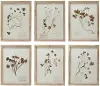 DF4178A-A/6-IND/DECO Wood Framed Botanical Assorted Wall Art