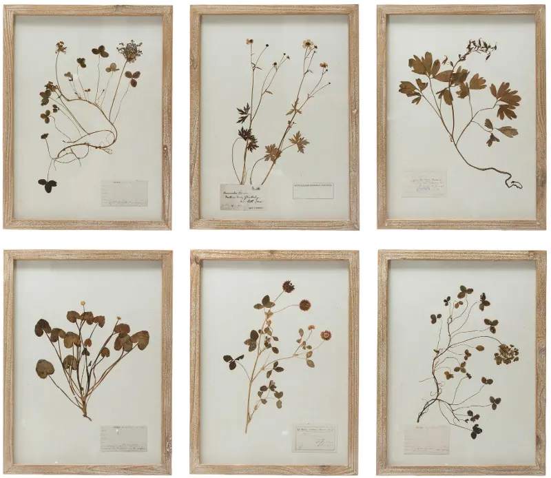 Wood Framed Botanical Assorted Wall Art