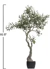 DF2602/OLIVE-TREE 5 Foot Greenery Tree
