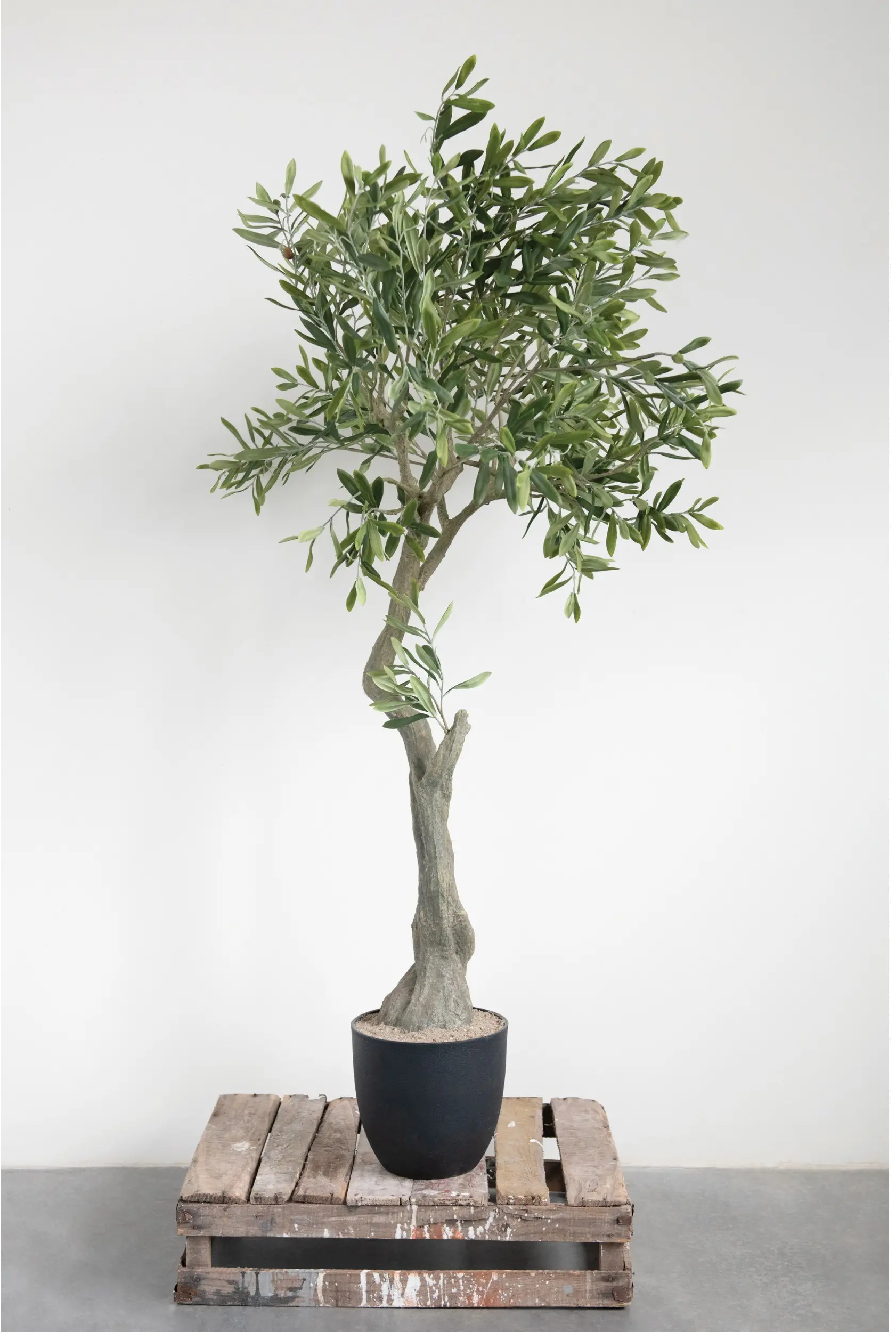 DF2602/OLIVE-TREE 5 Foot Greenery Tree-3