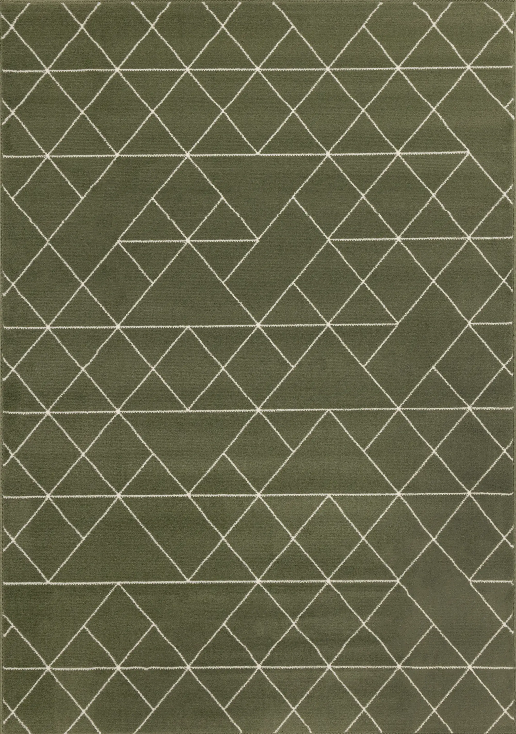 Faira Green Geometric 4 x 6 Area Rug-1