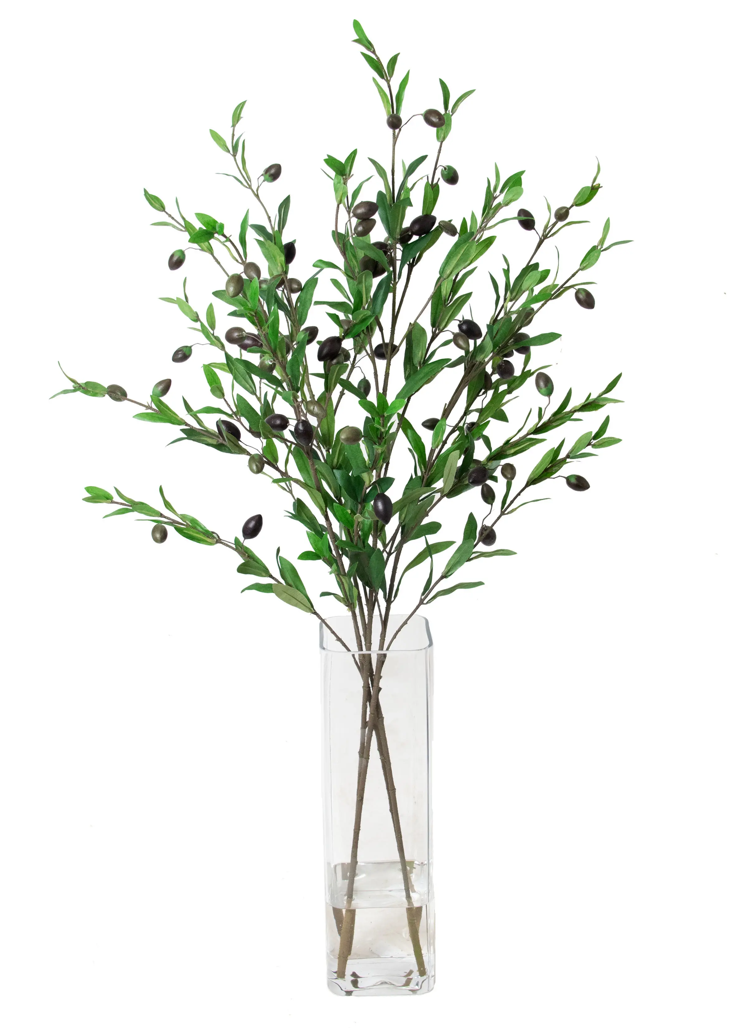 39 Olive Branch in Glass Vase-1