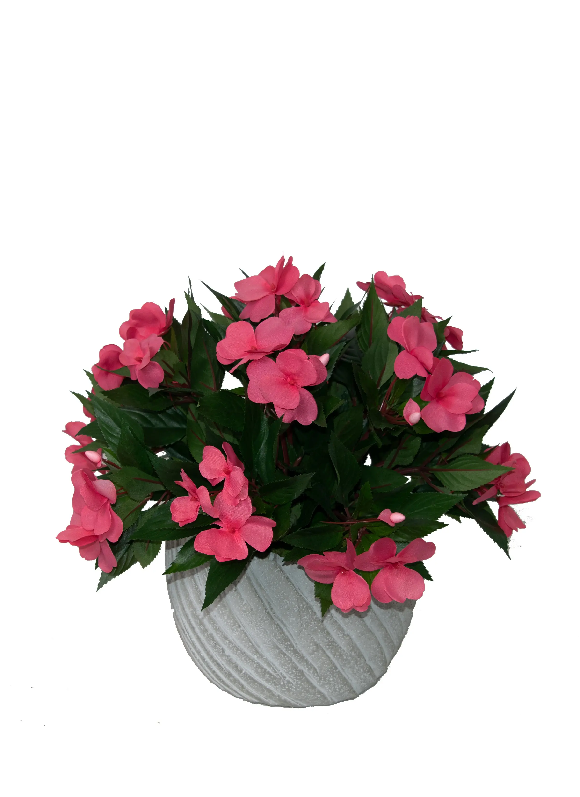 14 Impatiens Gray Pot-1