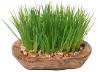 Faux Wheat Grass Plant in Wood Bowl