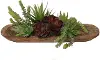 Succulent Wood Tray