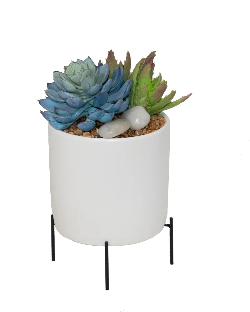 Faux Blue Succulent Plants in Pot with Stand