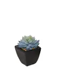 Faux Echeveria Succulent in Stone Pot