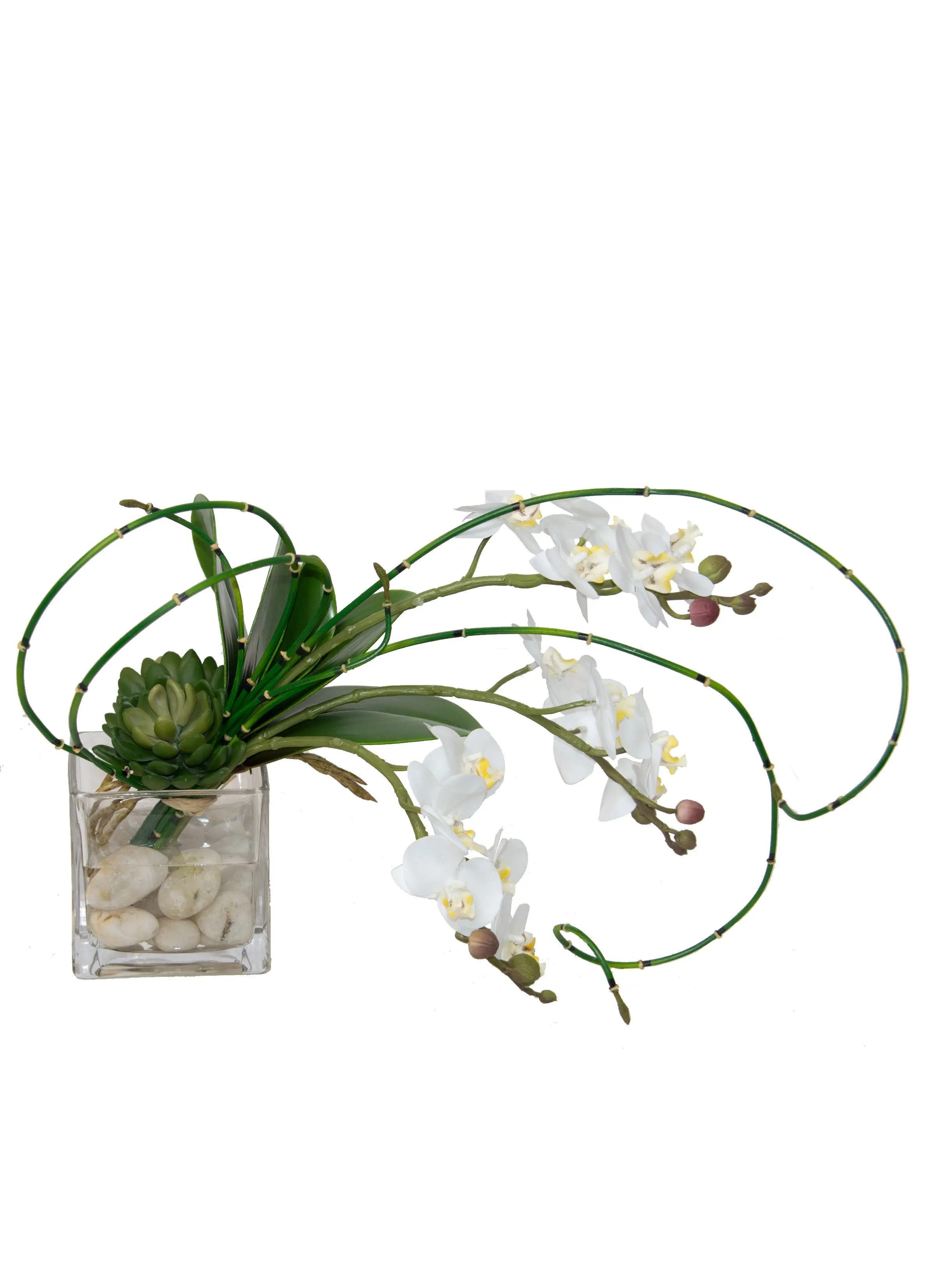 14 White Mini Orchid Glass Square-1