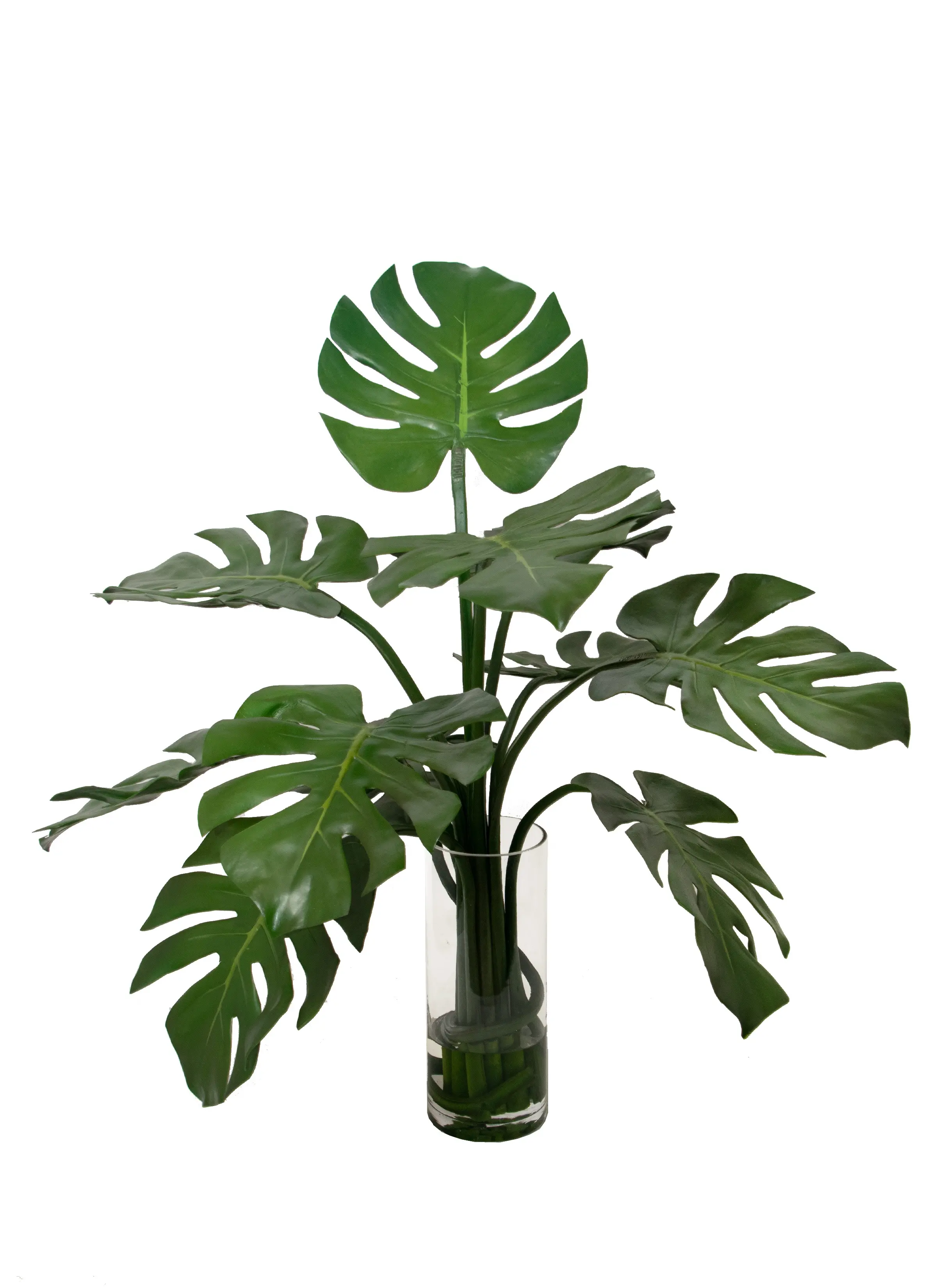 27 Monstera Leaf Glass Vase-1
