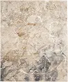 R1063-238/DENIM-5X7 Echo 5 x 8 Tesoro Cream Area Rug