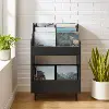 CF1123-BK Liam Black Record Storage Stand