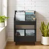 CF1123-BK Liam Black Record Storage Stand