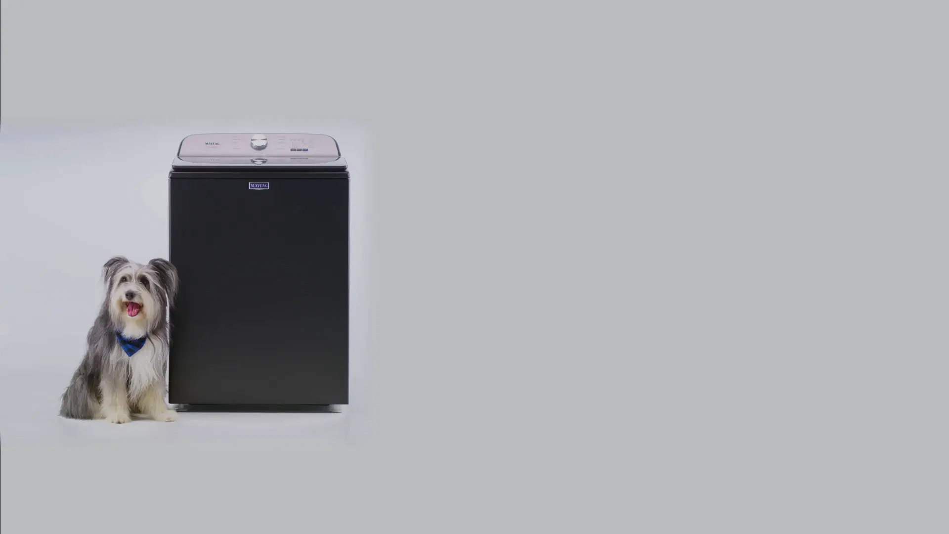 MVW6500MBK Maytag 4.7 cu ft Pet Pro Washer - Black M6500-8