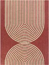 Cerise 5 x 7 Red Transitional Outdoor Patio Rug