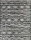 Cohen 5 x 7 Charcoal Transitional Outdoor Patio Rug