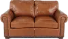 Tahoe Saddle Brown Leather Loveseat