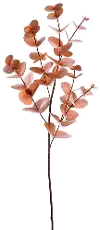 34  Copper Eucalyptus Stem Spray