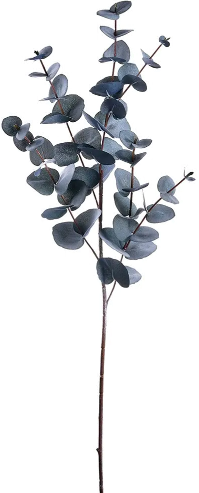 34 Black and Gray Eucalyptus Spray-1