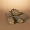 Set of 3 Harvest Acorns