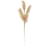 42  Beige Grass Stem