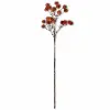 29  Orange Sycamore Stem