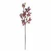 32  Crab Apple Stem