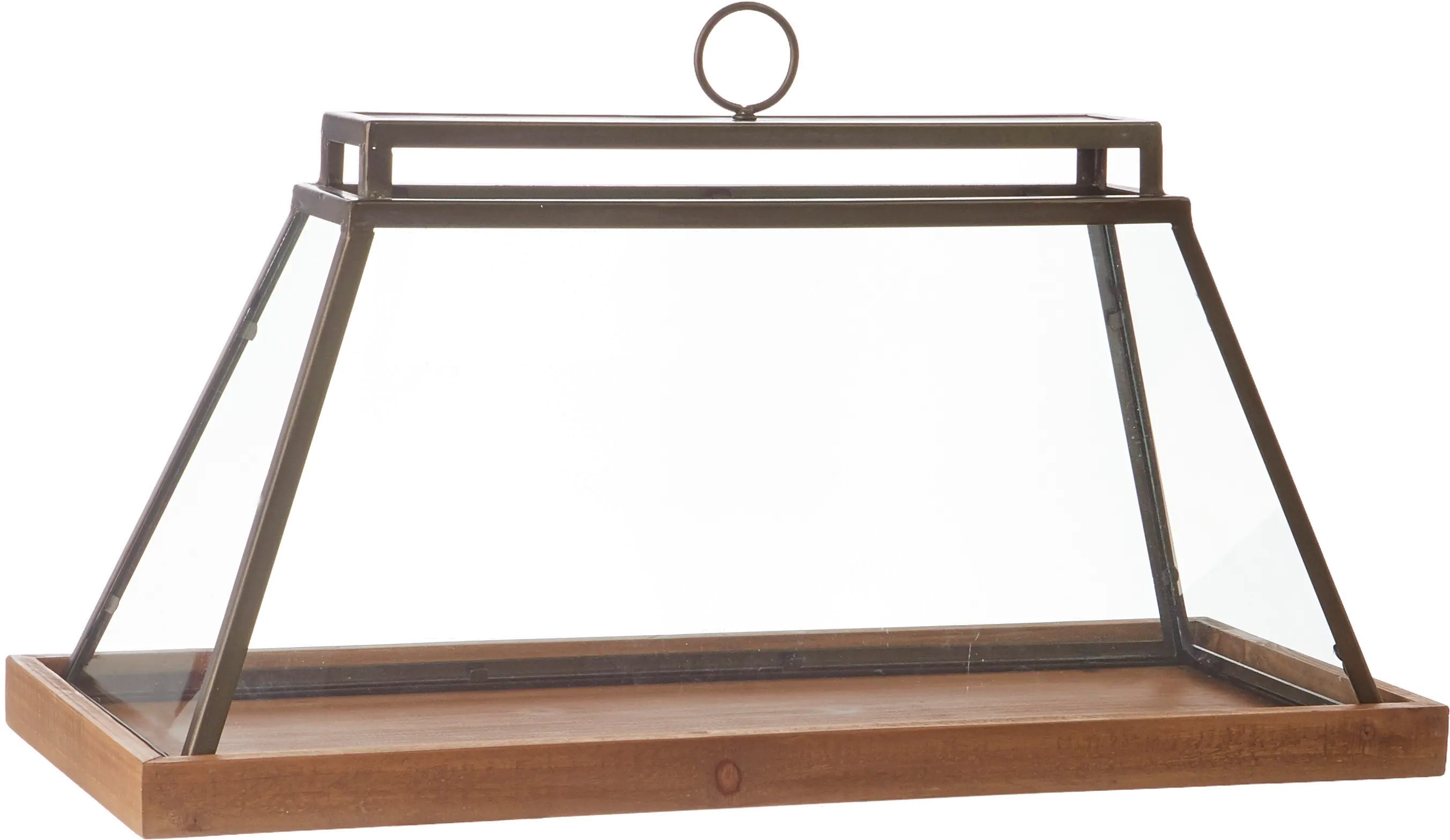 X4227954/TERRARIUM 14.25 Terrarium-1