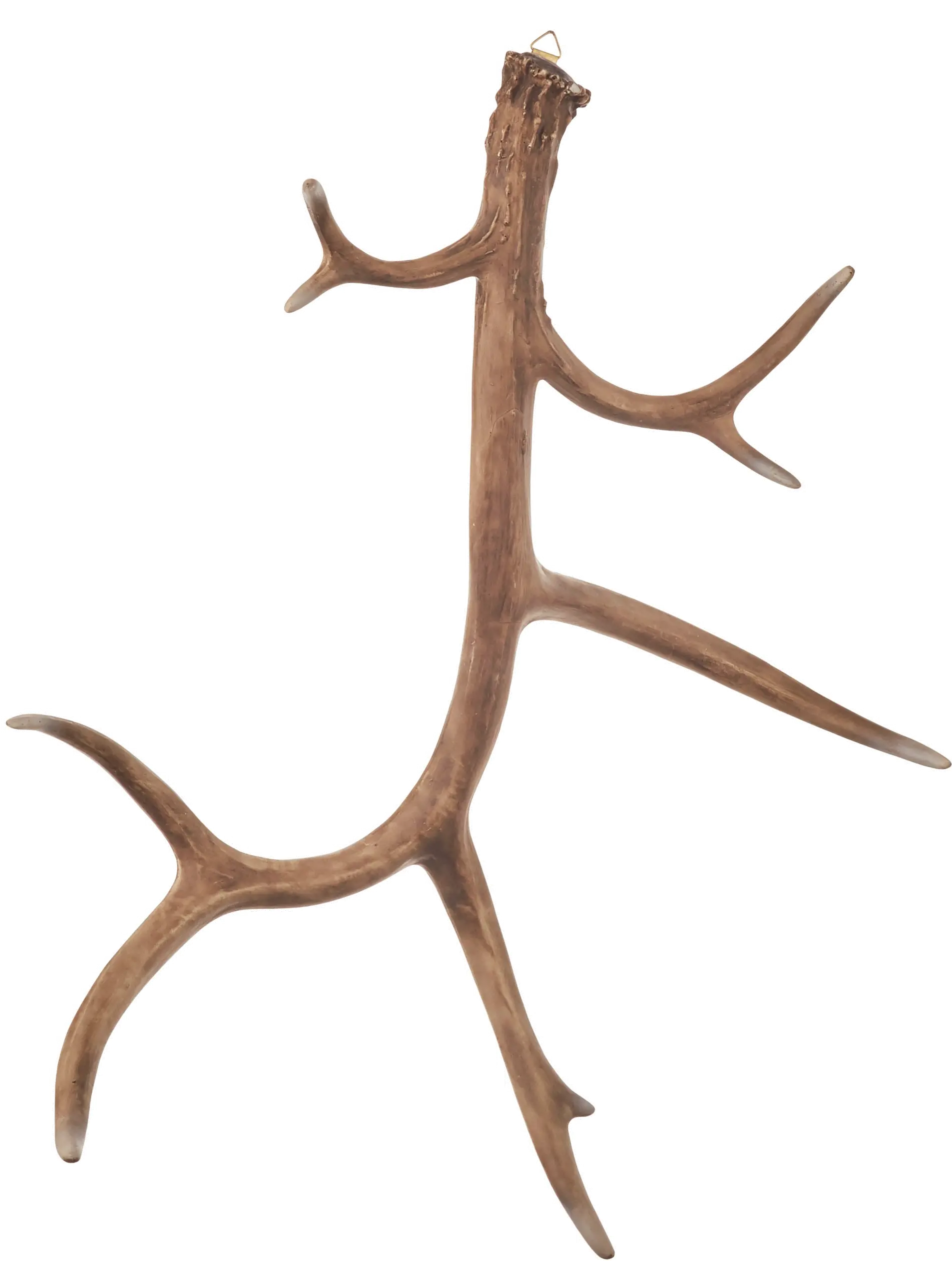 23.5 Inch Natural Wall Antler-1