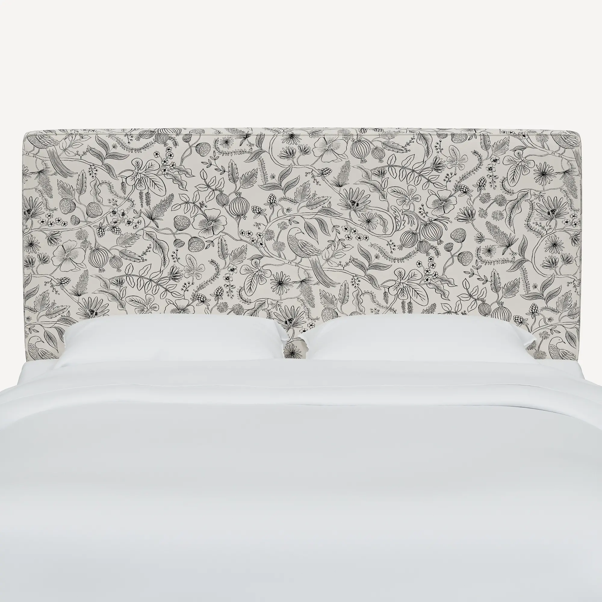 482QRPCAVBLKCRMLCB Rifle Paper Co Elly Aviary Cream & Black Queen Headboard-2