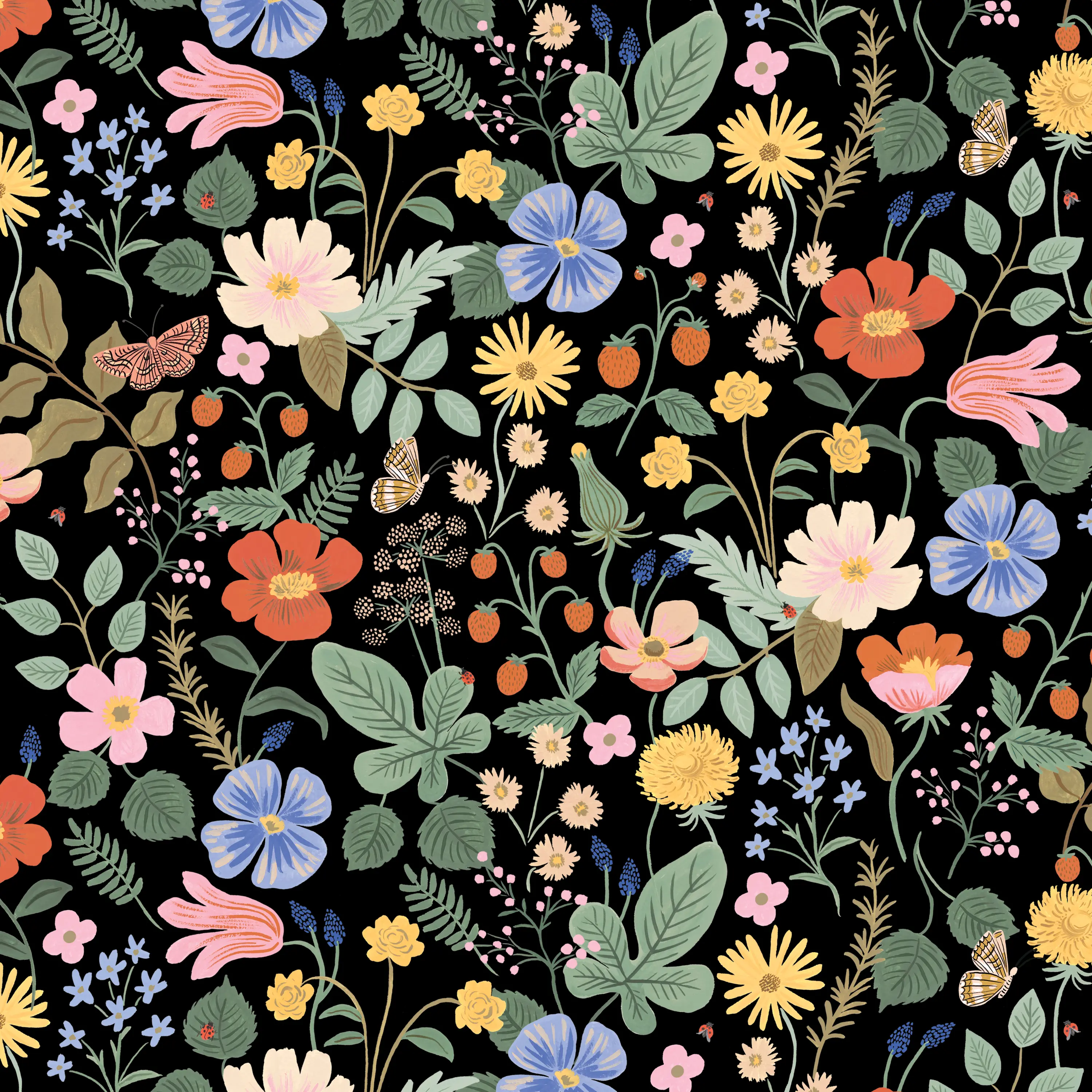 484CRPCSTFLBLKLCB Rifle Paper Co Elly Black Strawberry Fields Cal-King Headboard-5