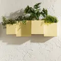 15331 Dalya Light Yellow Wall Planters, Set of 2 - South Shore