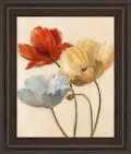 Poppy Pallette II Framed Art