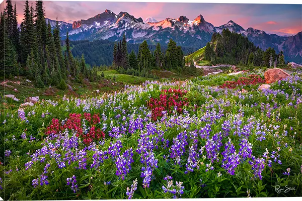 S3O11OSS/LUPIN-WRA Mountain and Wildflowers Canvas Wall Art-1