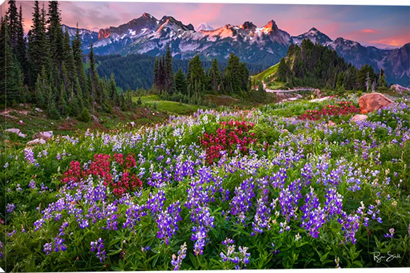Mountain and Wildflowers Canvas Wall Art