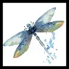 Dragonfly Framed Art