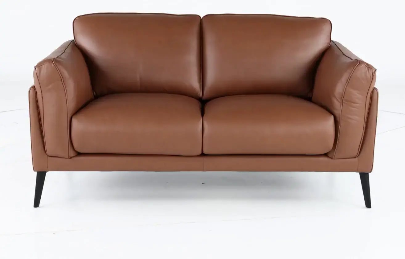Paris Brown Leather Loveseat-8