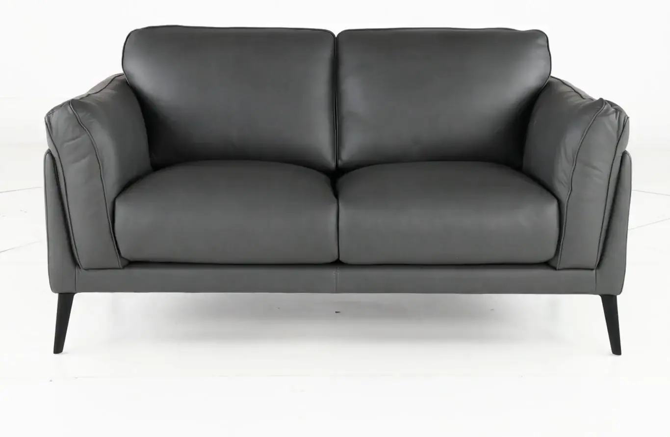 Paris Gray Leather Loveseat-8