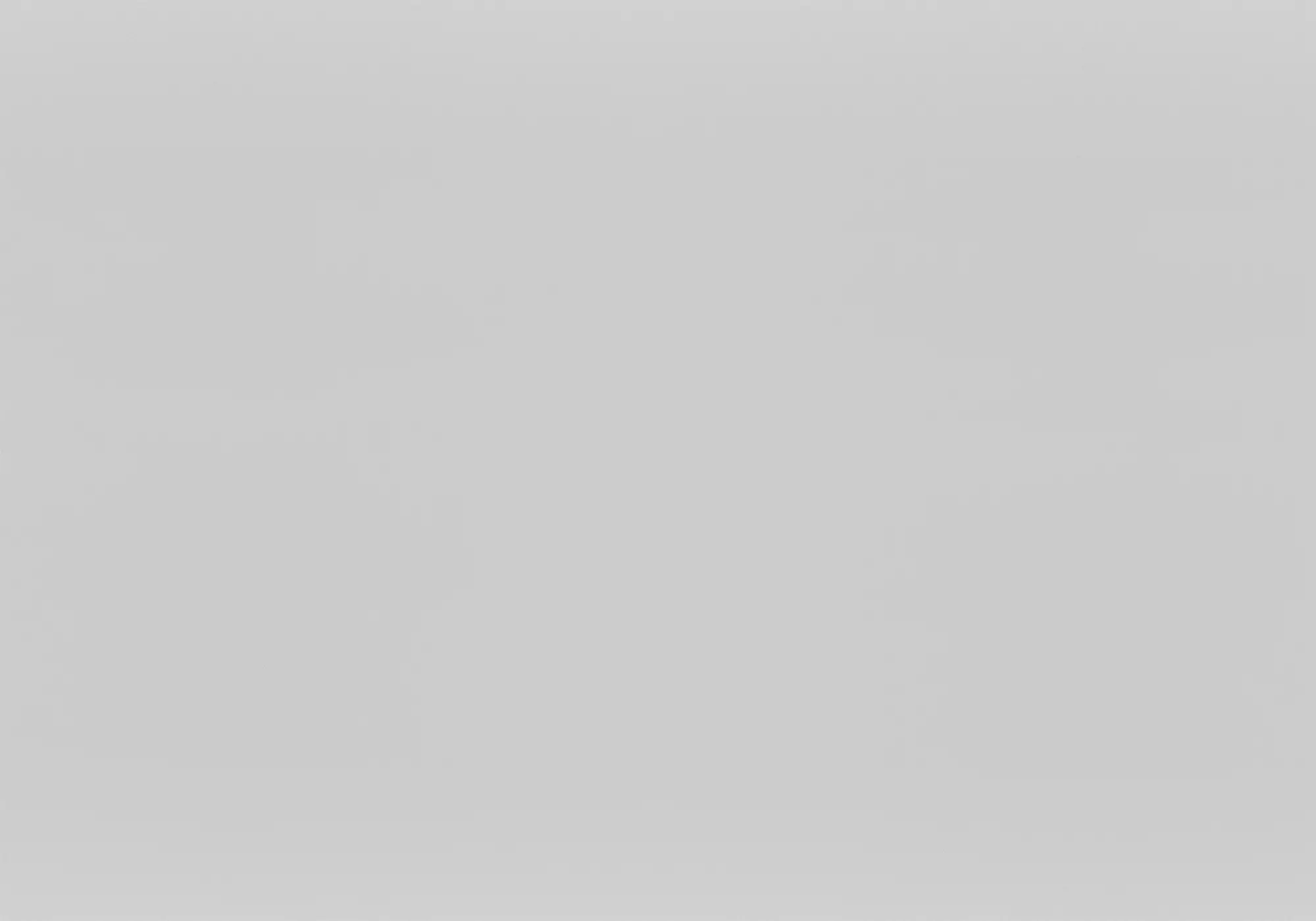 Reign Silver Metal Hall Tree Coat Rack-5