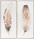 Vari Feathers Framed Art