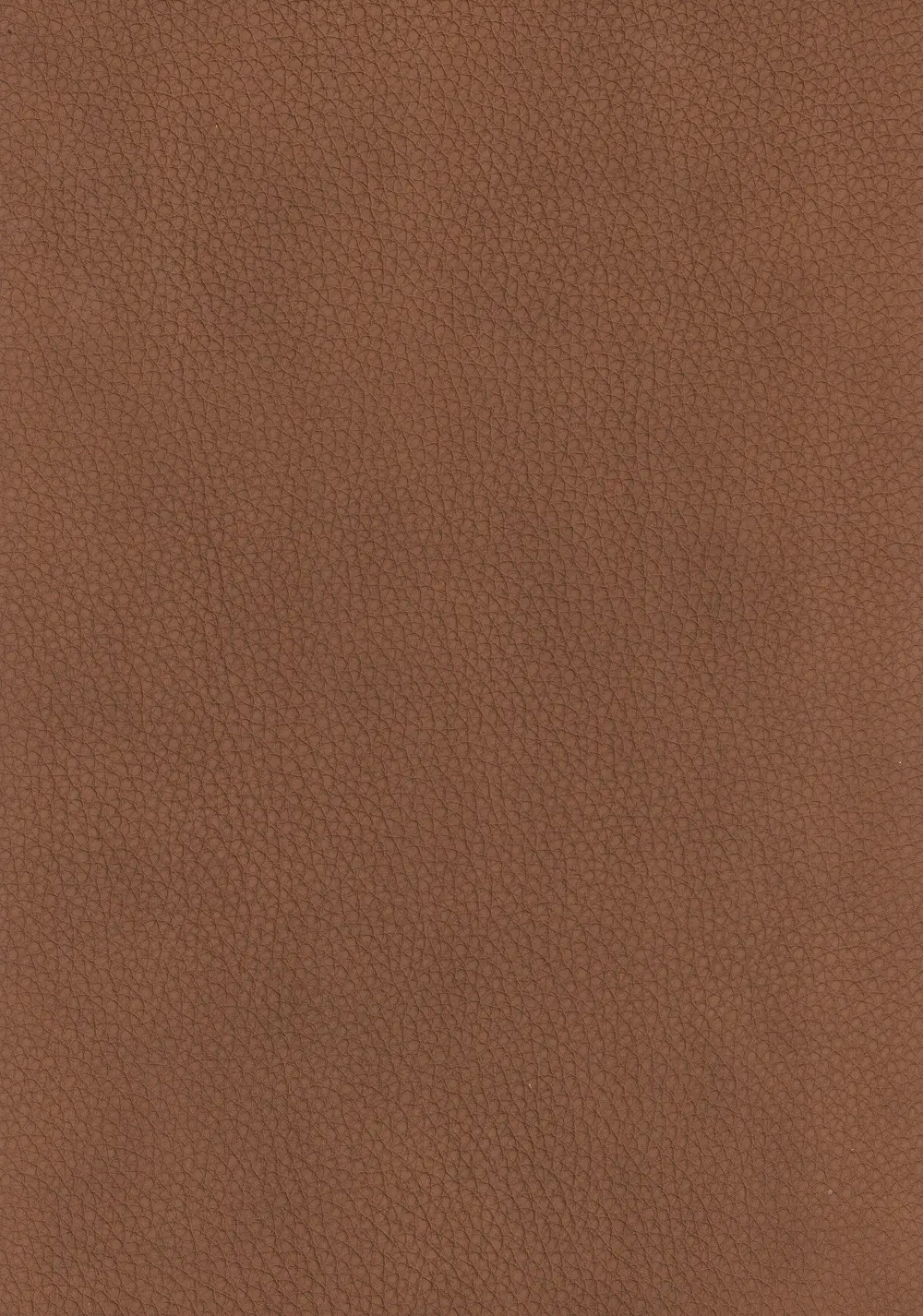 Sara Saddle Brown Leather Loveseat-8