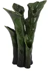 16  Calla Lilly Green Vase