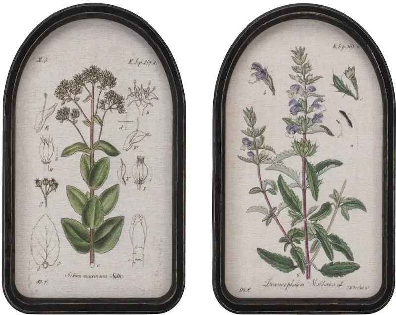 15.75 Inch Assorted Floral Framed Prints