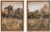21 Inch Nature Framed Art