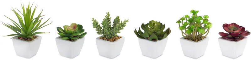 Assorted White Botanical Pot