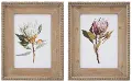 Assorted Protea Floral Print with Wood Frame