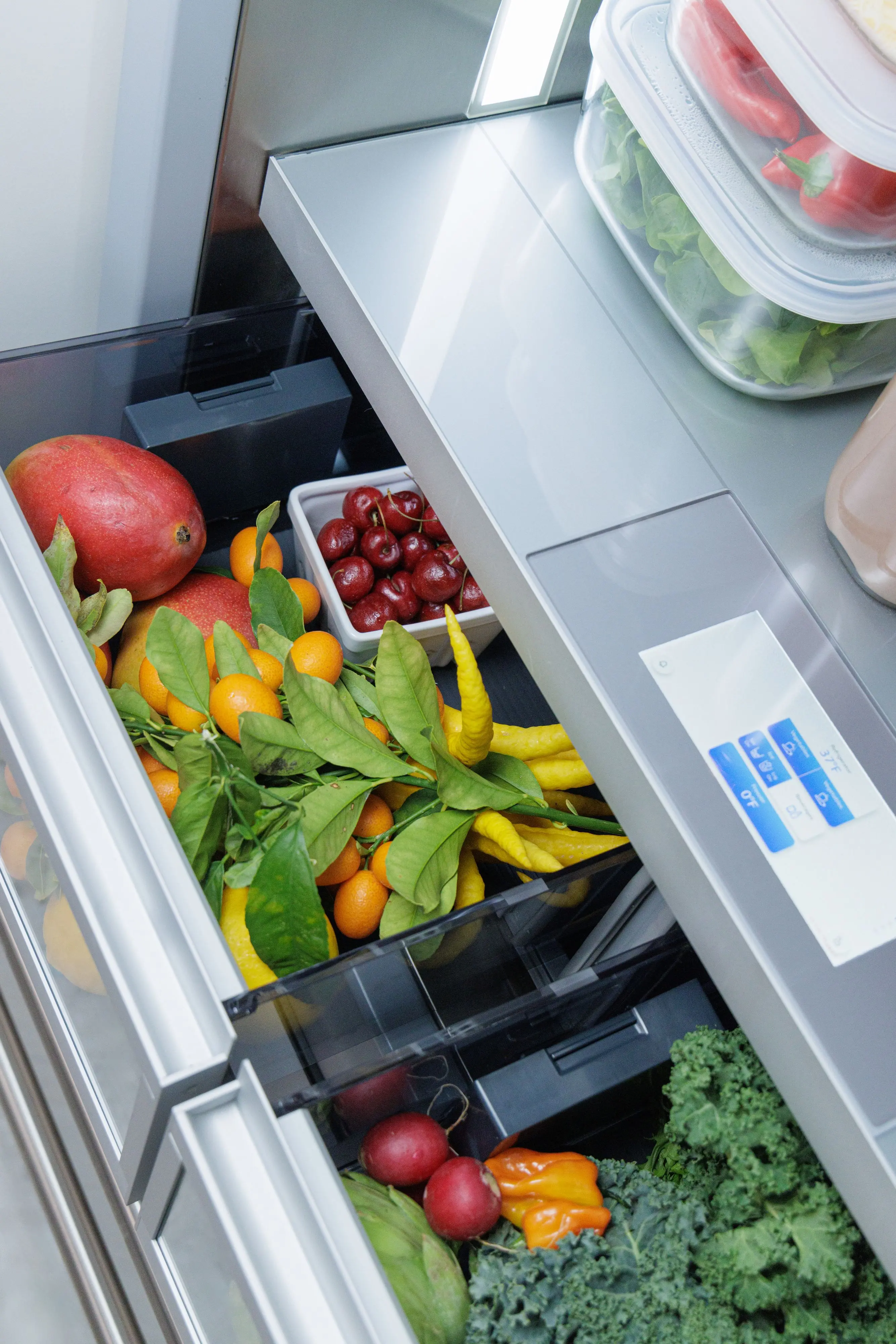 T36BB120SS Thermador 18.8 Cu Ft Built-In Bottom-Freezer Refrigerator - Counter Depth Stainless Steel-8